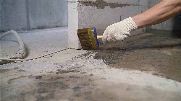 SJ Waterproofing Pros Waterproofing coverage map for Hopkins, MI and surrounding area